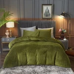 Ivellow Velvet Duvet Cover Queen Set Sage Green Comforter 3PCS Ultra So.... Fixed Price $63.33.
