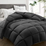 Queen Comforter, All Season Down Alternative Duvet Insert, Winter Warm Quilted B. Fixed Price $42.99.