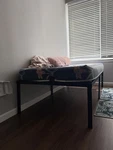 Amazonbasics AMZ-14BIBF-T Inch Metal Platform Bed Frame, Size Twin Black. Fixed Price $100.00.