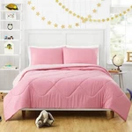 Urban Playground Pink Olivia Reversible Queen 3 Pc Comforter Set. Fixed Price $20.00.