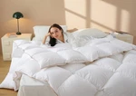 Sleep Deeper Every Night - Queen Down Comforter 90X90 Inch. Fixed Price $89.99.
