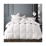 Globon Winter White Goose Comforter King Size,down Duvet Insert 60 Oz, 8.... Fixed Price $377.28.