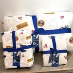 Pottery Barn The Polar Express Comforter, Sham & Sheet Set, Size Twin Christmas. Fixed Price $219.00.