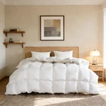 Hyvif Feather Down Fiber Comforter Twin Sizepremium Ultra-soft Breathable. Fixed Price $198.60.