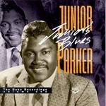 Junior's Blues: The Duke Recordings Volume One. Fixed Price $8.07.