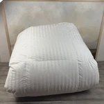 Pottery Barn Luxury 700FP European White Goose Down Duvet Insert Full/q Heavy Ob. Fixed Price $449.00.