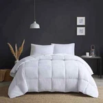 True North By Sleep Philosophy Heavy Warmth Goose Feather Down Comforter Twin/tl. Fixed Price $95.00.