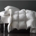 Royoliving Premium Greyduck Feathers Down Comforter White Twin Size All Season. Fixed Price $124.99.