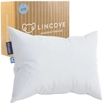 Lincove Cloud Luxury Canadian Down Pillow, King Firm, 625 Fill, 500 Count Cotton. Fixed Price $236.75.