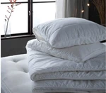 Comfy Comforter: The Dot Extra Warm All-season. Fixed Price $40.99.