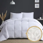True North Oversized King Comforter Set - Heavyweight Goose Down Bedding. Fixed Price $196.99.
