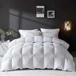 Lovsoul Goose Down Comforter (queen). Fixed Price $90.45.