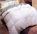 Aurora Snow White Down Comforters-twin Size. Fixed Price $49.99.