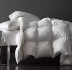 Royoliving Premium Greyduck Feathers Down Comforter White Twin Size All Season. Fixed Price $59.99.