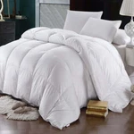 Golinens 600 Thread Count Goose Down Comforter. Fixed Price $307.99.