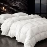 Down Fibers Comforter Queen Size -ultra Soft High Fill Power Comfor.... Fixed Price $196.70.