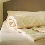 Hypoallergenic Organic Wool Comforter Duvet Sleep&beyond Full/queen. Fixed Price $200.00.