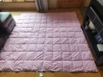 The Company Store Kids Primaloft Down Alternative Comforter*queen*read. Fixed Price $84.00.