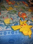 Northwest Pokemon 4 Piece Comforter Twin Sheet Set. Fixed Price $20.00.