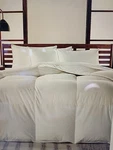 Hotel Collection European White Goose Down ,alternative, Primaloft Comfort K,q,f. Fixed Price $220.00.