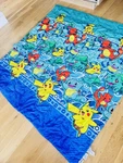 Pokemon Twin Comforter Pikachu Charmander Squirtle Bulbasaur Nintendo Northwest. Fixed Price $49.99.