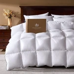 Pacific Coast Queen Size Goose Feather Down Comforter Duvet Insert 90X90". Fixed Price $79.95.