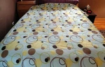 Echo Reversible Comforter + Pillowcases (f/q). Fixed Price $30.00.