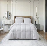 Martha Stewart White Goose Down Fiber All Season Comforter. Fixed Price $45.00.