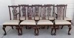 Set 8 Dining Chairs Lion Ball Claw Feet English Chippendale French Empire Eight. Fixed Price $699.00.