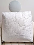 Down Alternative Comforter Set 3 Pcs By Gracie Oaks Queen New. Fixed Price $29.98.