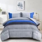 Wongs Bedding Blue Comforter Set King Reversible Grey Down Alternative C.... Fixed Price $35.73.