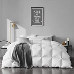 Apsmile Oversized King Feathers Down Comforter - Ultra Soft All Seasons 100% .... Fixed Price $154.04.