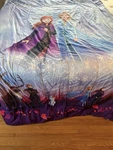 Disney Jumping Beans Frozen Twin Size Comforter Kids Bedding Reversible. Fixed Price $28.50.
