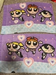 Vtg 2000 Power Puff Girls Bed Pillowcases Set Standard Kid Dan River. Fixed Price $27.99.