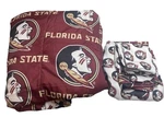 Northwest Florida State Seminoles Reversible Comforter And Sheet Set Read. Fixed Price $20.00.