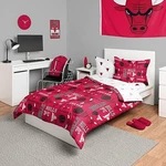 Nba Team Logo Bedding Set 5PC Comforter Sheets Pillowcases Bag. Fixed Price $145.99.