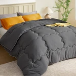 King Comforter Duvet Insert - All Season Down Alternative Quilted Bedding, Ultra. Fixed Price $107.99.