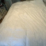 Real Simple White Down Comforter 64 X 88 Twin Size Duvet Insert. Fixed Price $50.00.