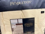 Pendleton Nova Medallion Ivory King Comforter Only New Msrp $349 One Piece. Fixed Price $225.00.