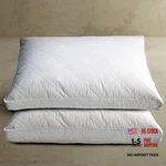 Blue Ridge Home Fashions 233 Thread Count Quilted Goose Feather And Jumbo White. Fixed Price $68.66.