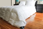 Triumph Hill 100% Natural Goose Down Jacquard Cotton Bed Comforter Twin. Fixed Price $69.98.
