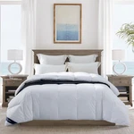 Globon King Down Comforter 700 Fill Power White. Fixed Price $259.99.