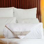 Silk Comforter Spring/summer/fall, 100% Long-strand Filling, Natural. Fixed Price $300.47.