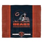 Northwest Nfl Chicago Bears Safety Full/queen Comforter And Shams. Fixed Price $94.99.