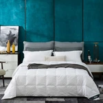 Globon White Summer Down Comforter/blanket Queen Size, Lightweight Duvet Inse.... Fixed Price $154.39.