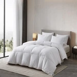 Globon Ultra-soft Down Feather Comforter Queen Size,luxurious Fluffy Hotel (E6). Fixed Price $99.99.