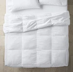 Twin Ultra Weight Premium Down Comforter - Casaluna. Fixed Price $100.00.