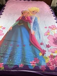 Disney Frozen Twin Comforter Anna Elsa Reversible Franco Kids Bedding. Fixed Price $59.99.