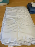 Izod Comforter Twin. Fixed Price $18.00.