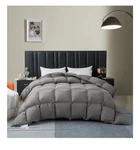 Nib - Hyvif Down Comforter Duvet Insert King Grey 106"X90". Fixed Price $42.99.